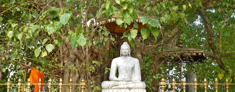 Colombo- temple kelaniya