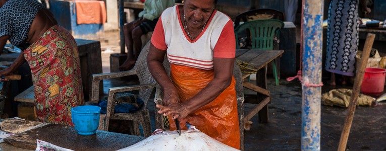 Marché aux poissons de Negombo
