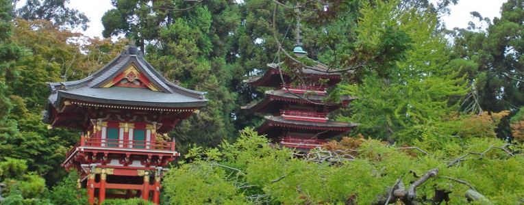  Japanese Tea Garden